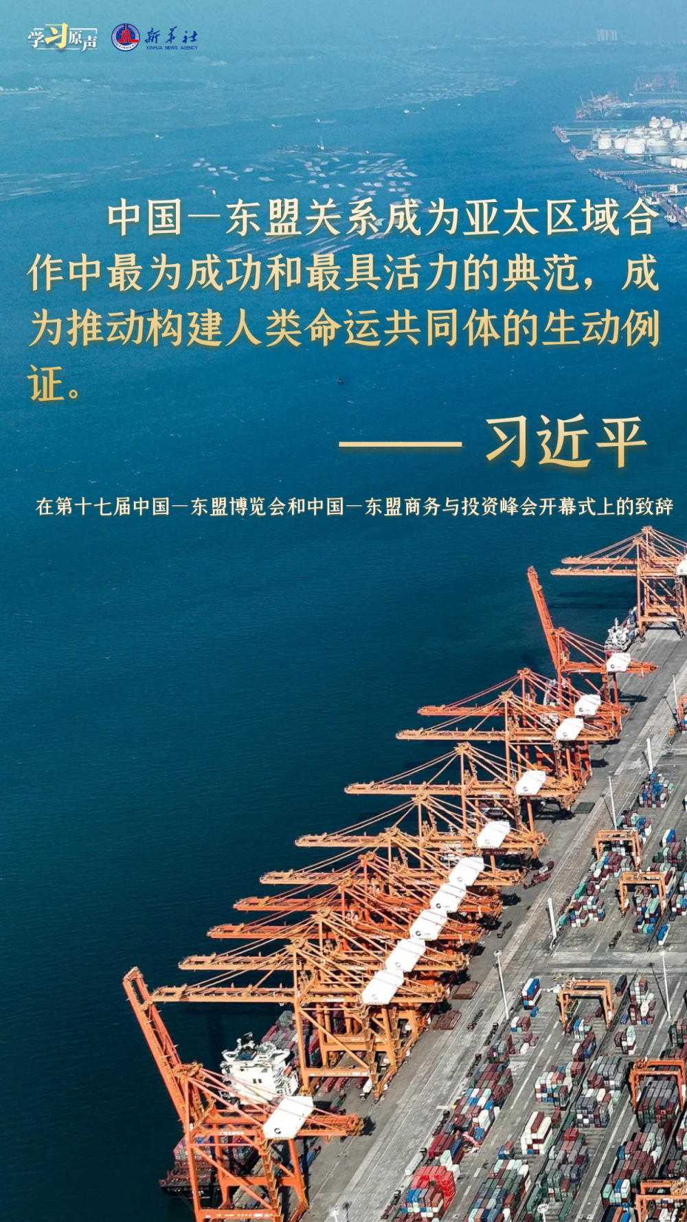 新华社3.png