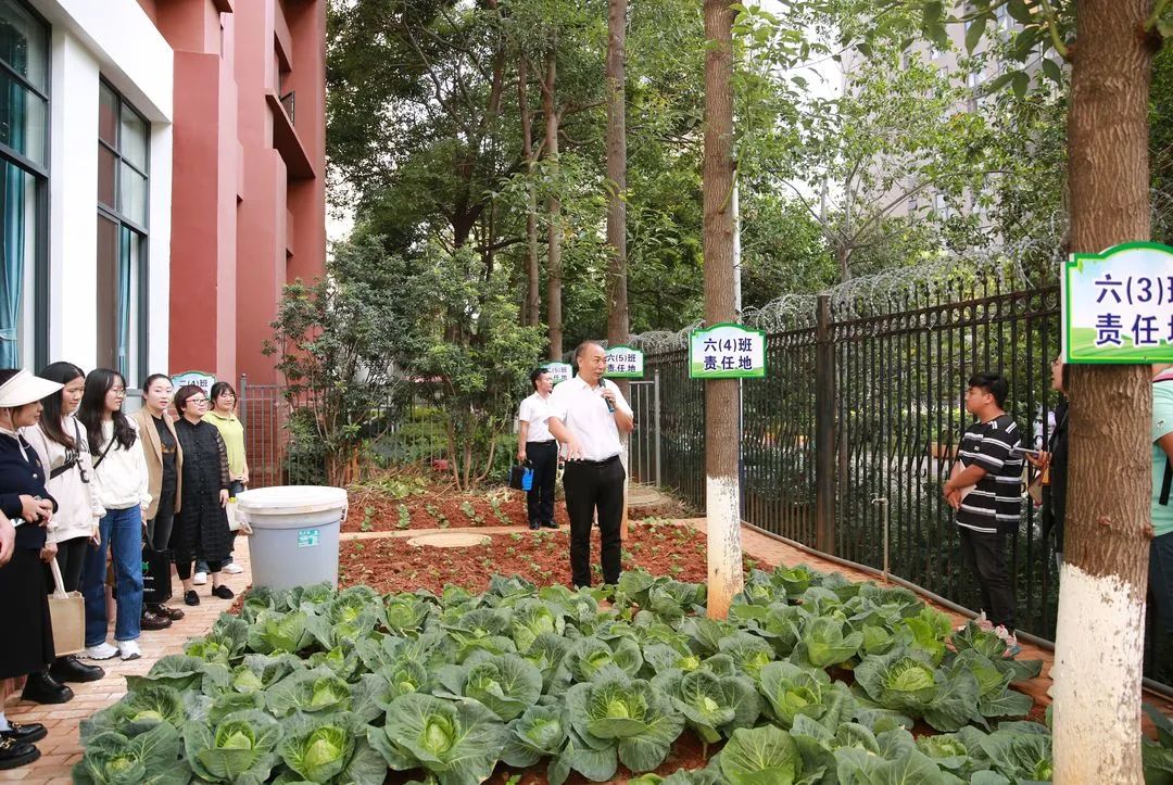 联盟小学6.jpg