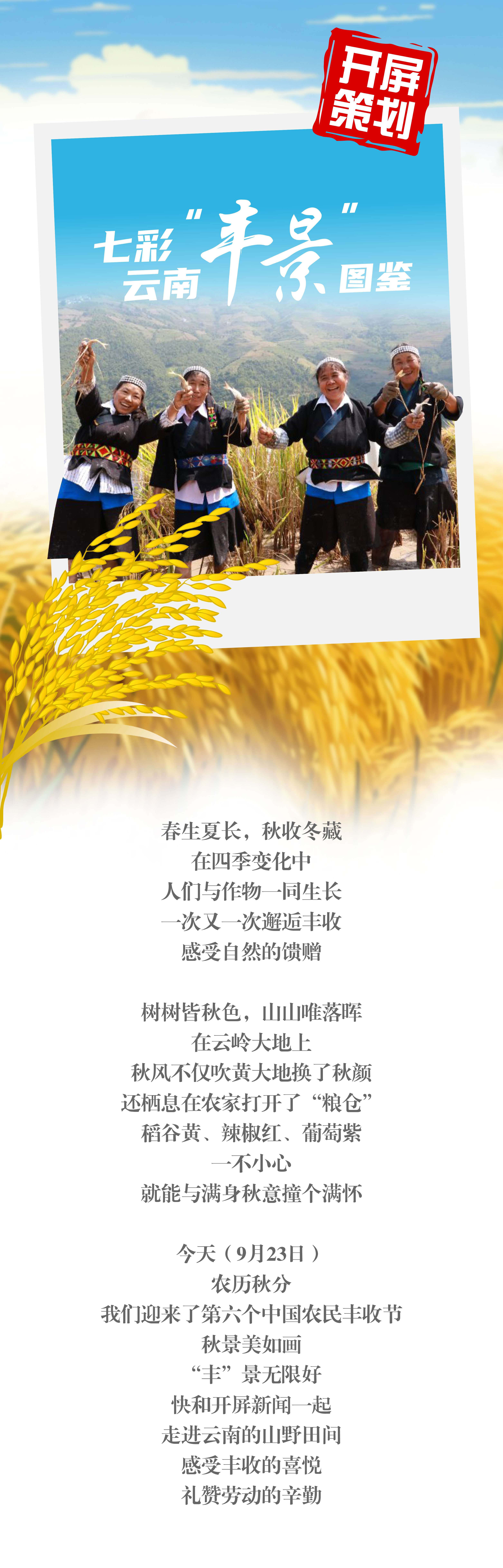 云南好“丰”景