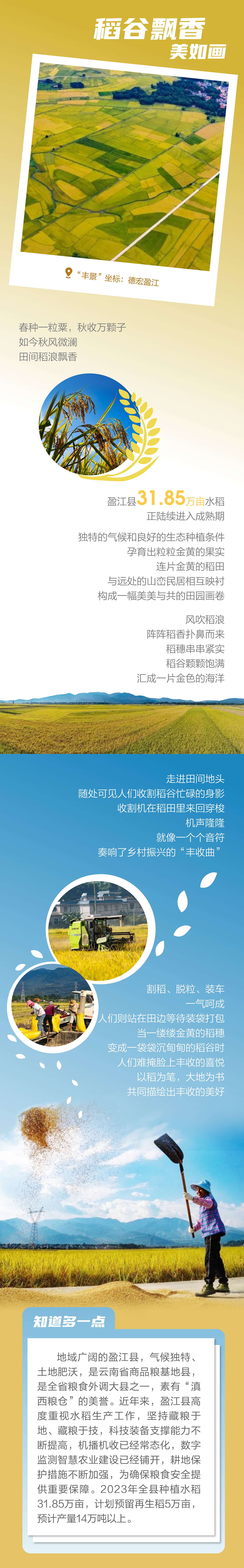 云南丰景2