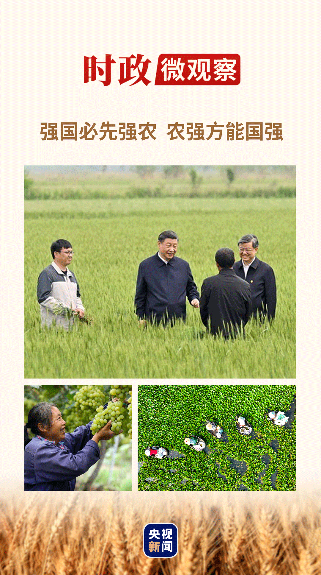 丰收之美1.png