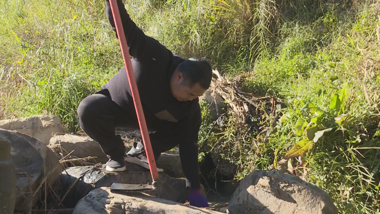 古韵新城 水墨石屏 | 龙武镇：为异龙湖“湖泊革命”攻坚战亮出实招