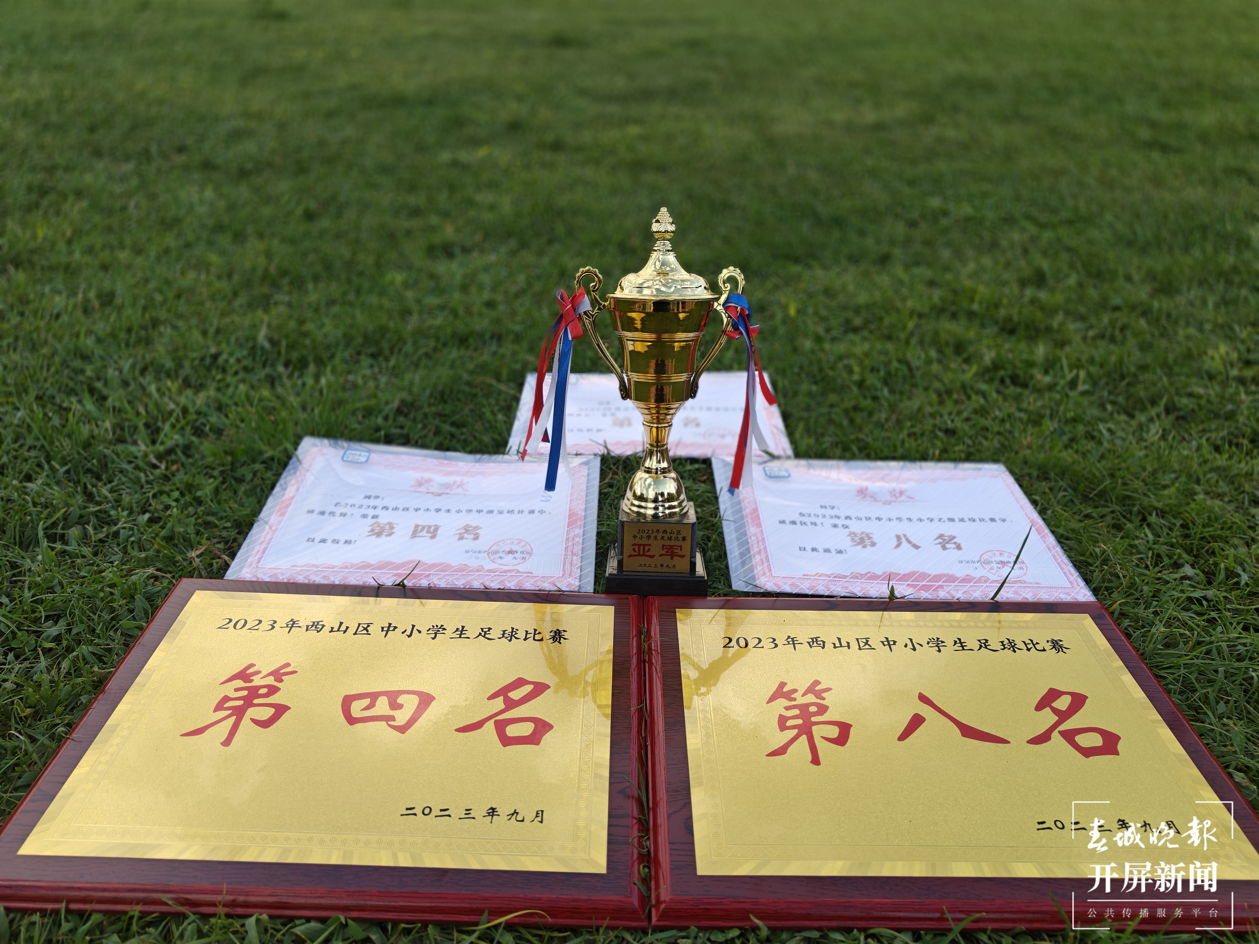杨家足球