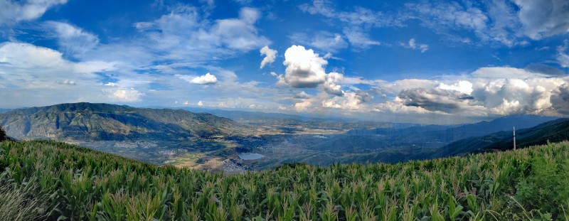 (采访传编辑)有一种叫云南的生活 高山草甸,花开成山!大理宾川乌龙坝九鼎山美极啦! (21).jpg