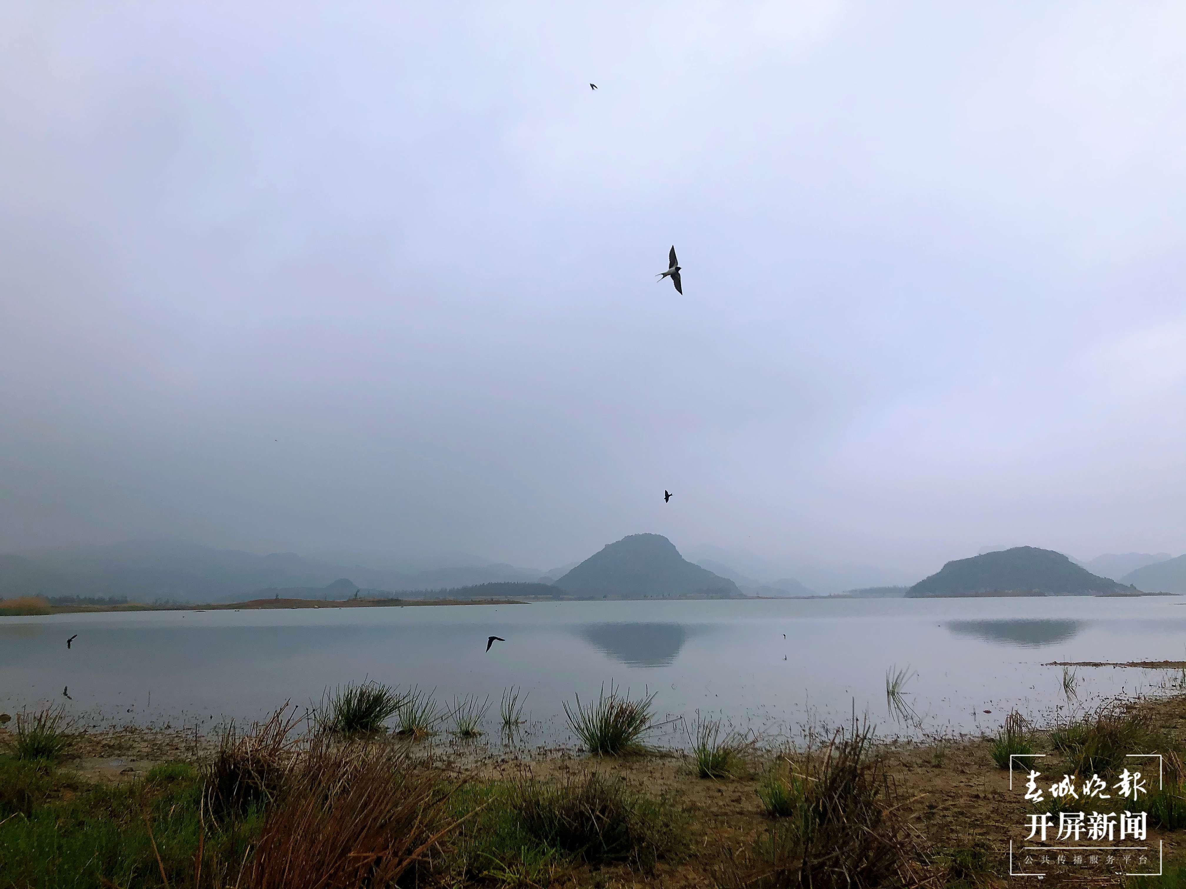 沾益海峰湿地：雨后现“水墨丹青”美景（通讯员 舒婷婷 摄）