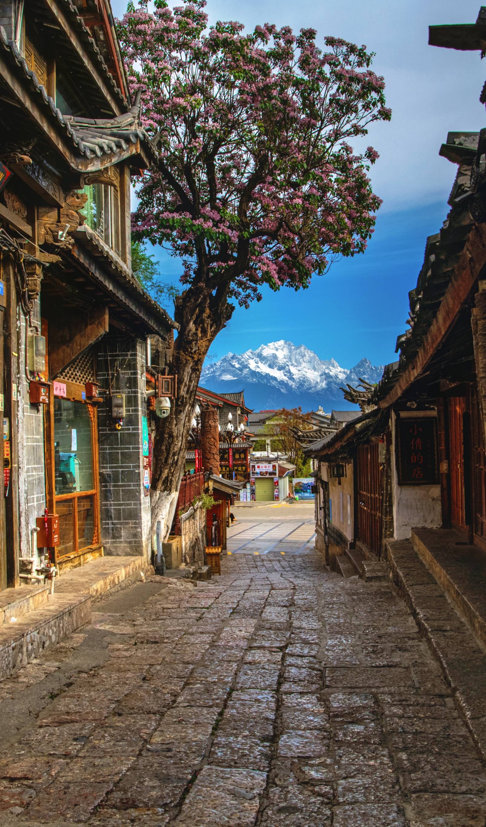 丽江（供图）