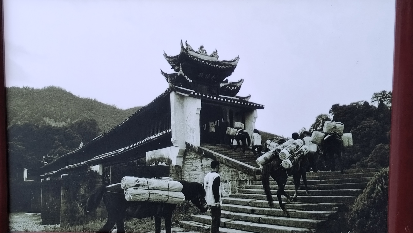 赵辉摄 (25).jpg