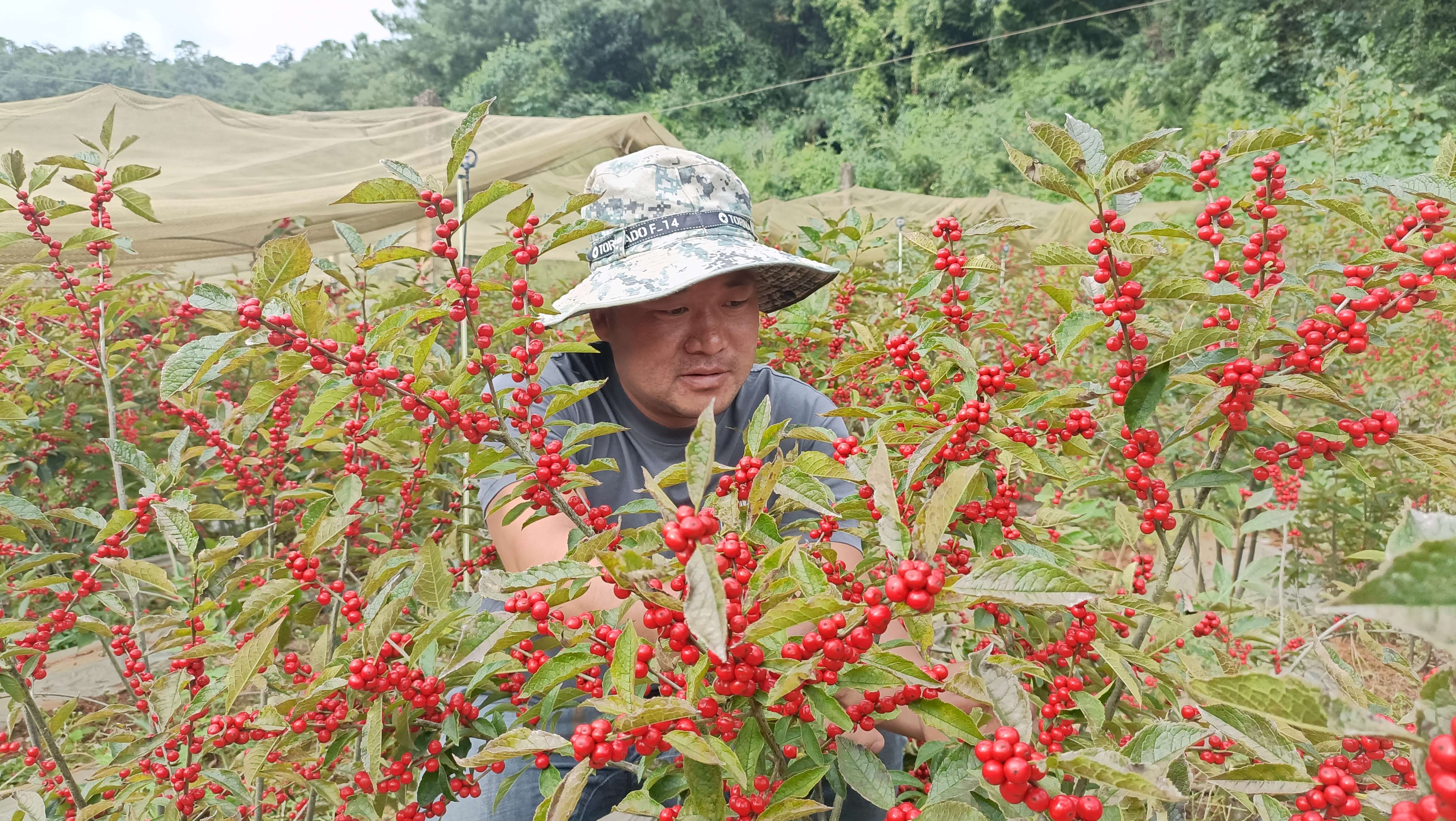 鲁健学.jpg