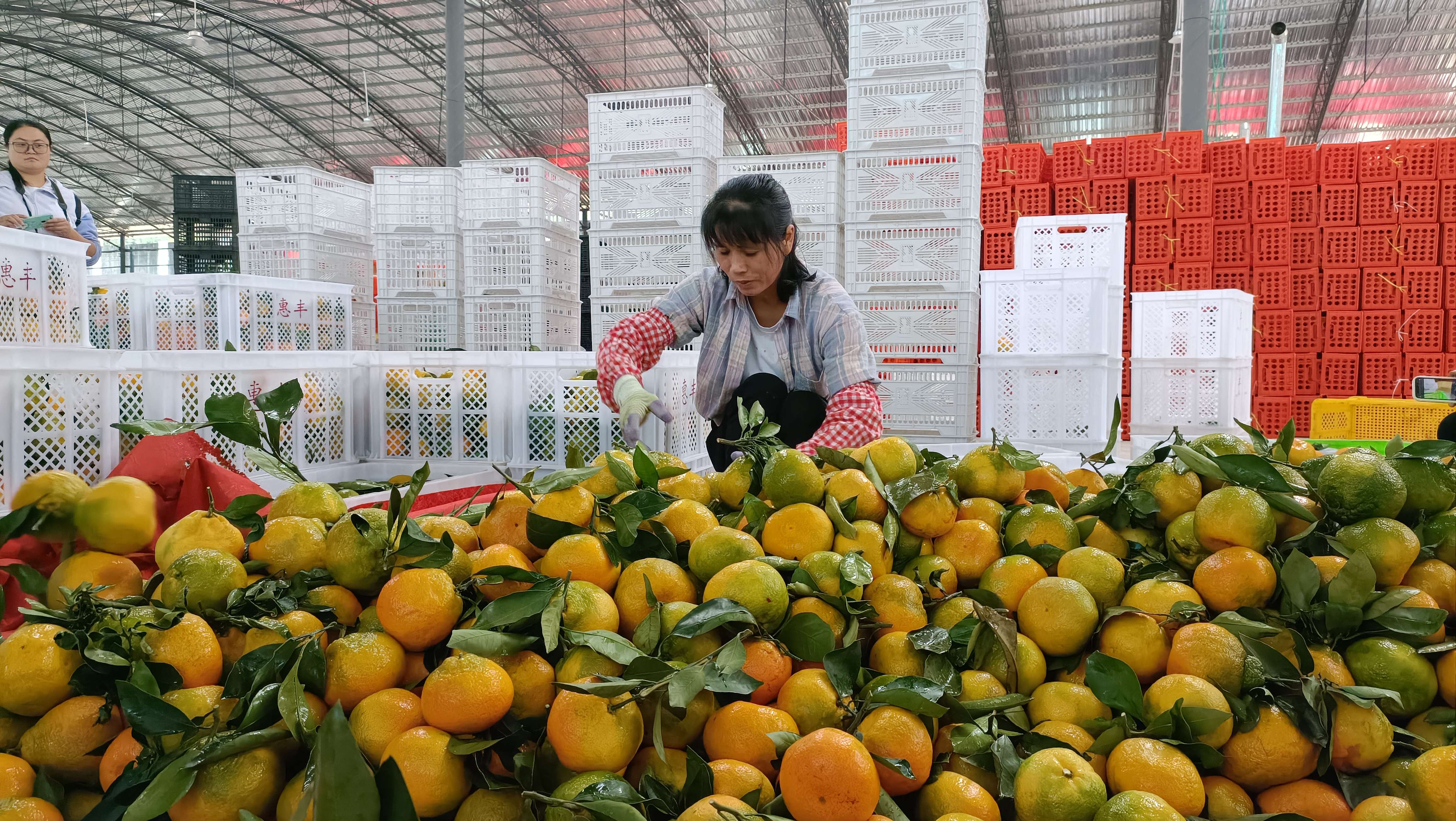 惠丰产业园 (2).jpg