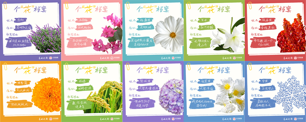 周一见(1023)