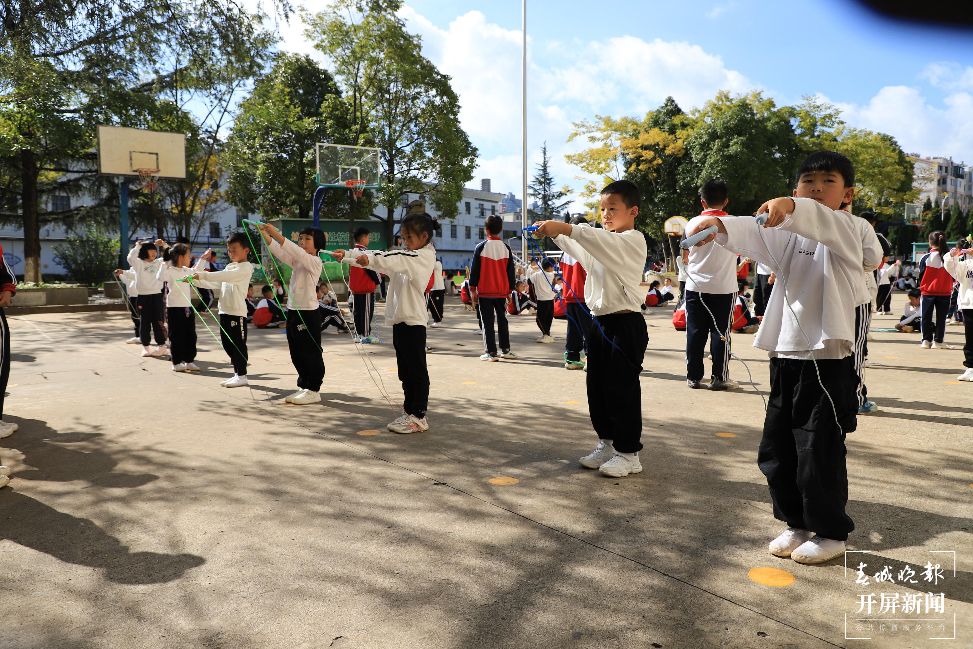 杨家运动会