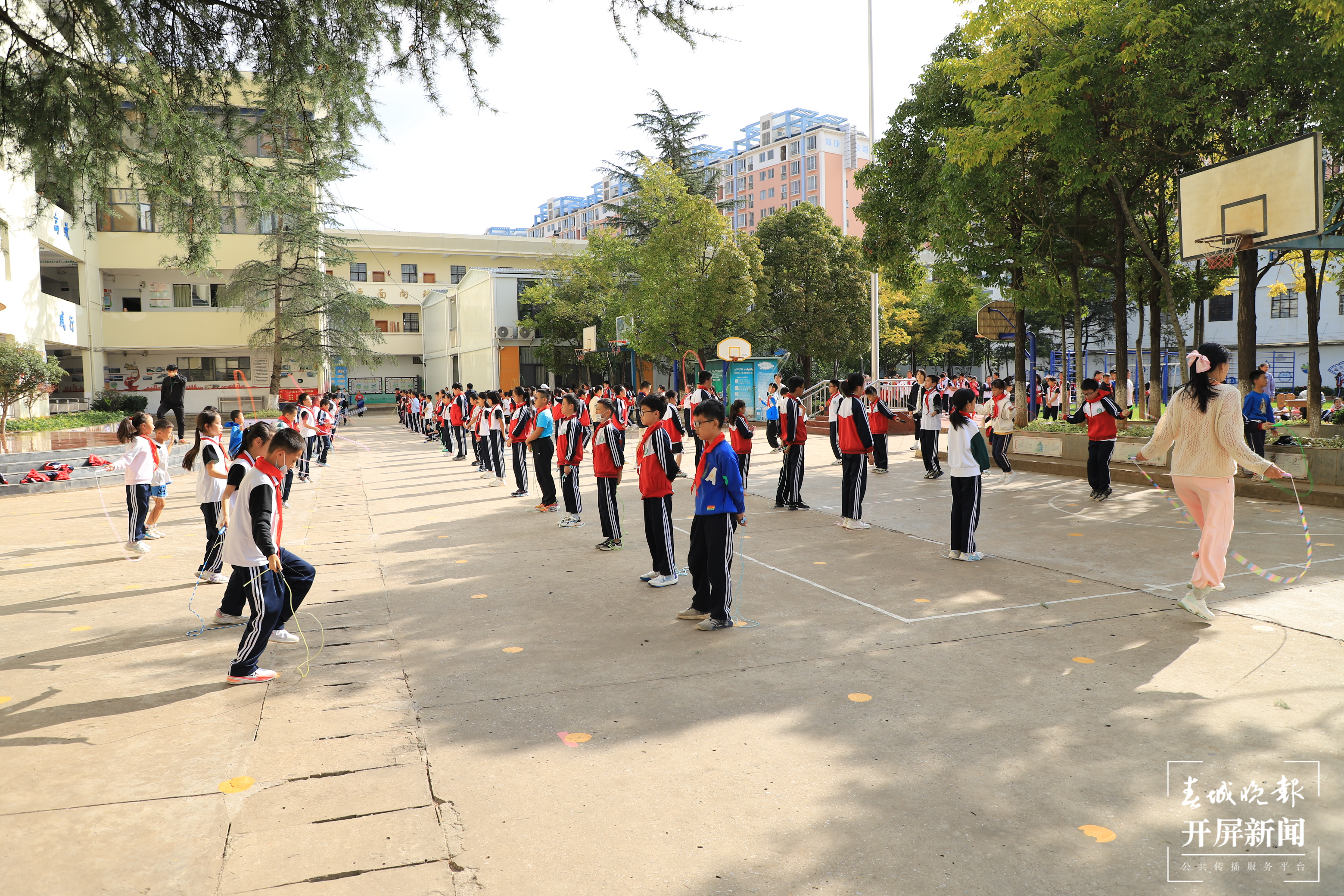 杨家运动会
