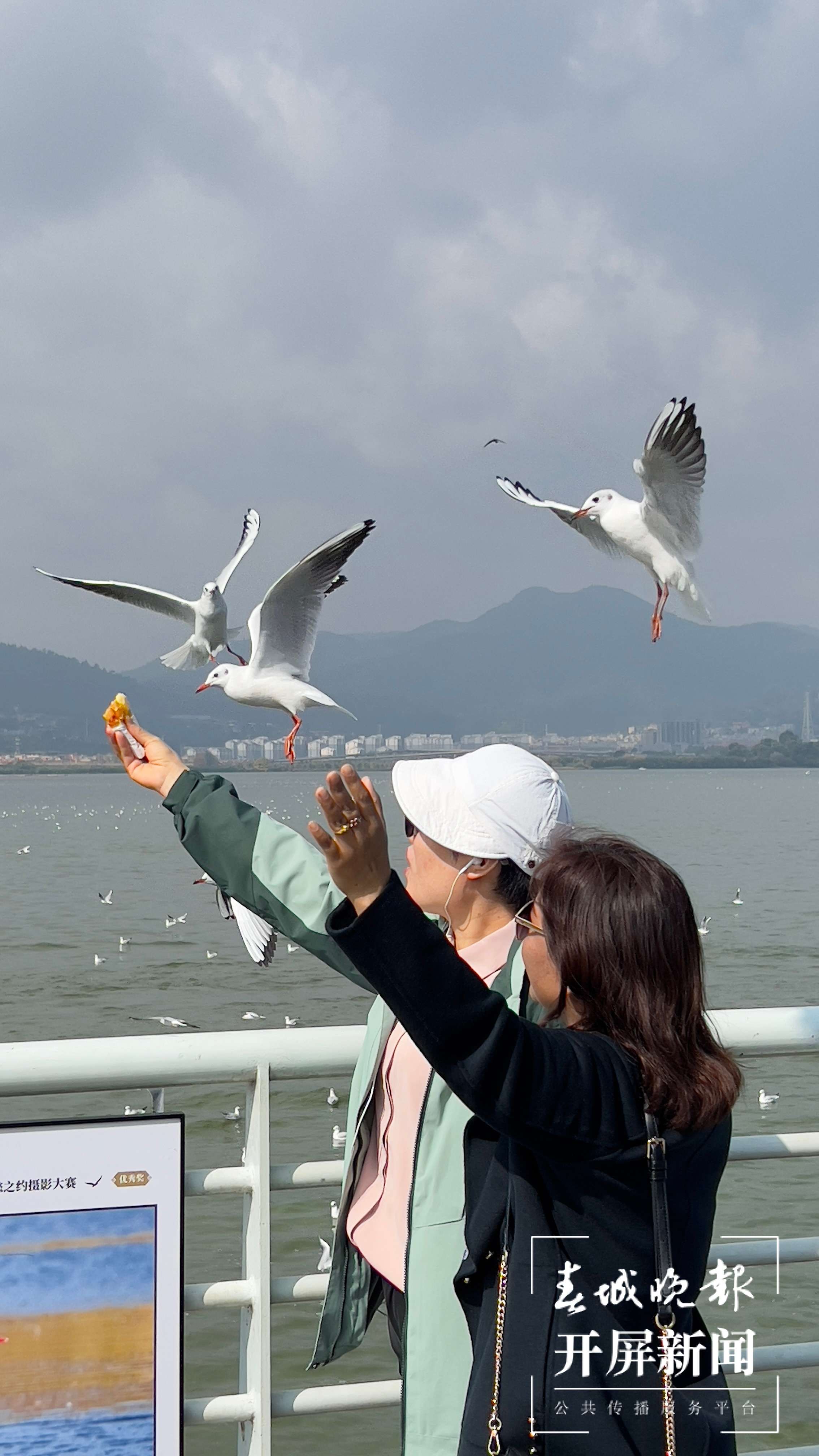 微信图片_20231101135603.jpg