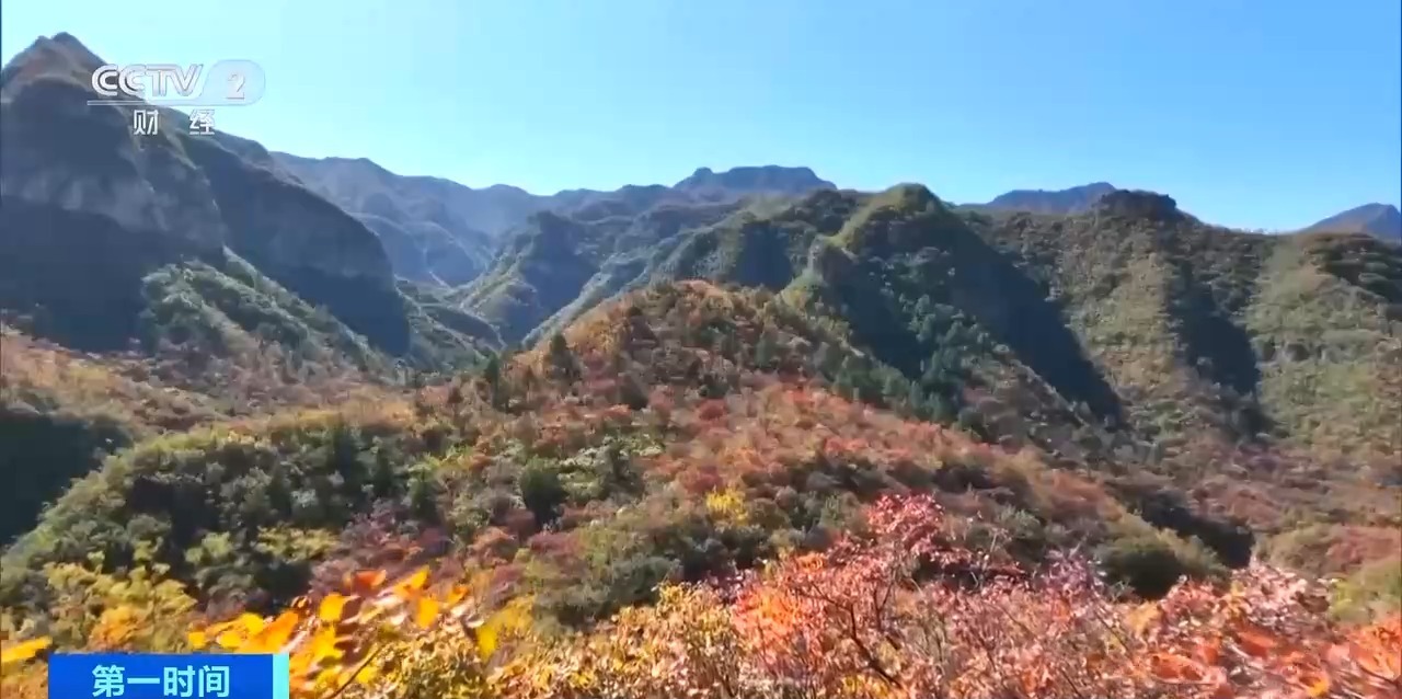 徒步登山火了！登山杖销售大增，户外运动成旅游新商机