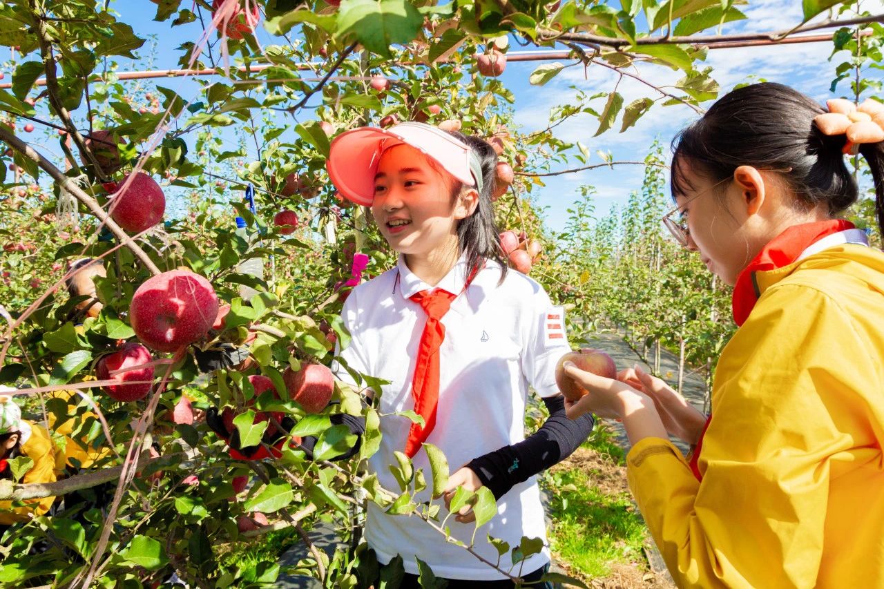 金康园小学苹果节