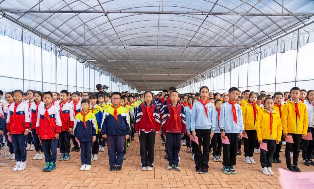 金康园小学苹果节