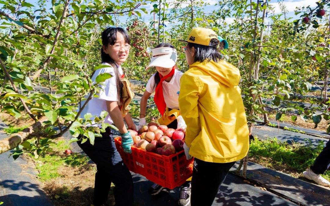 金康园小学苹果节