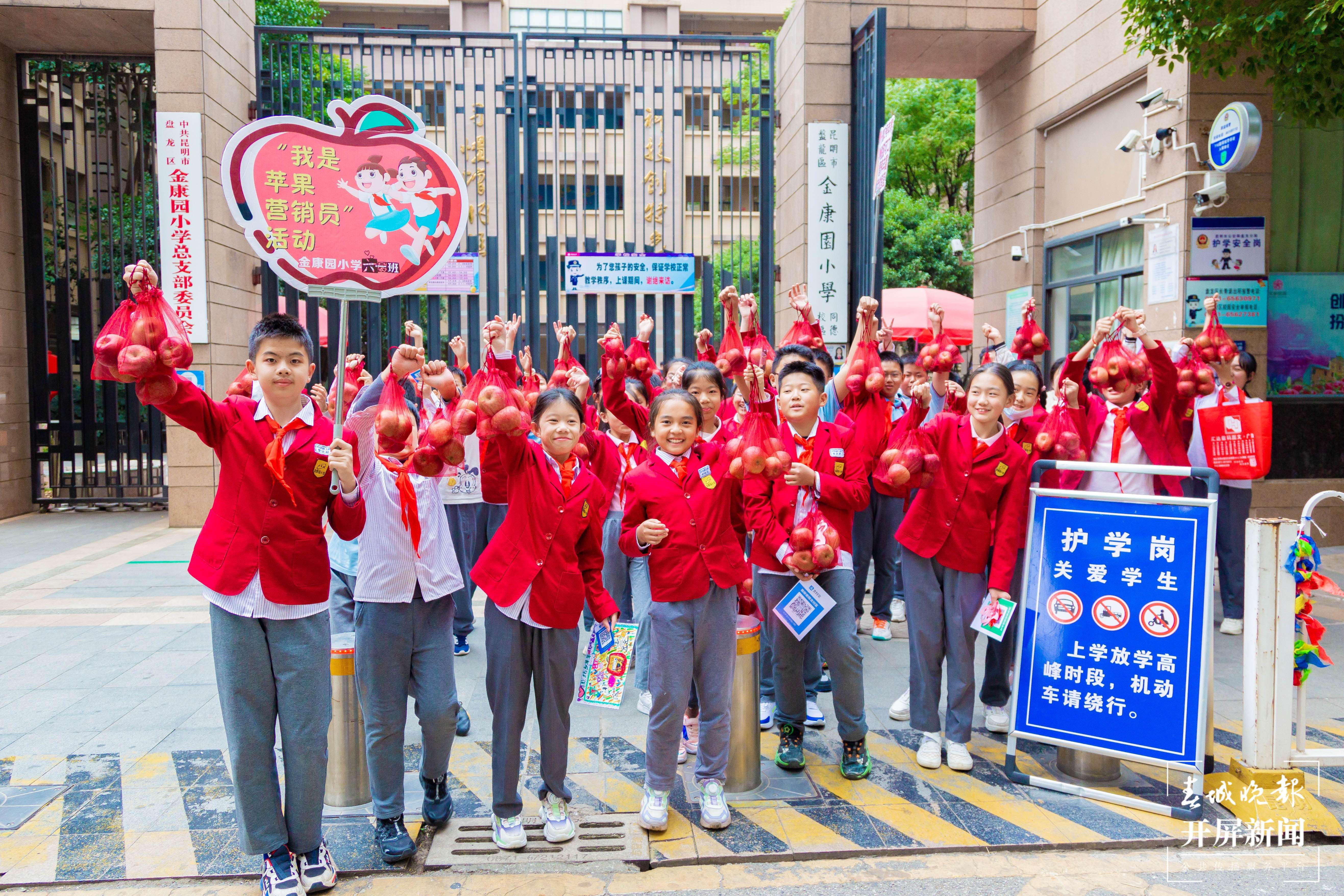金康园小学苹果节