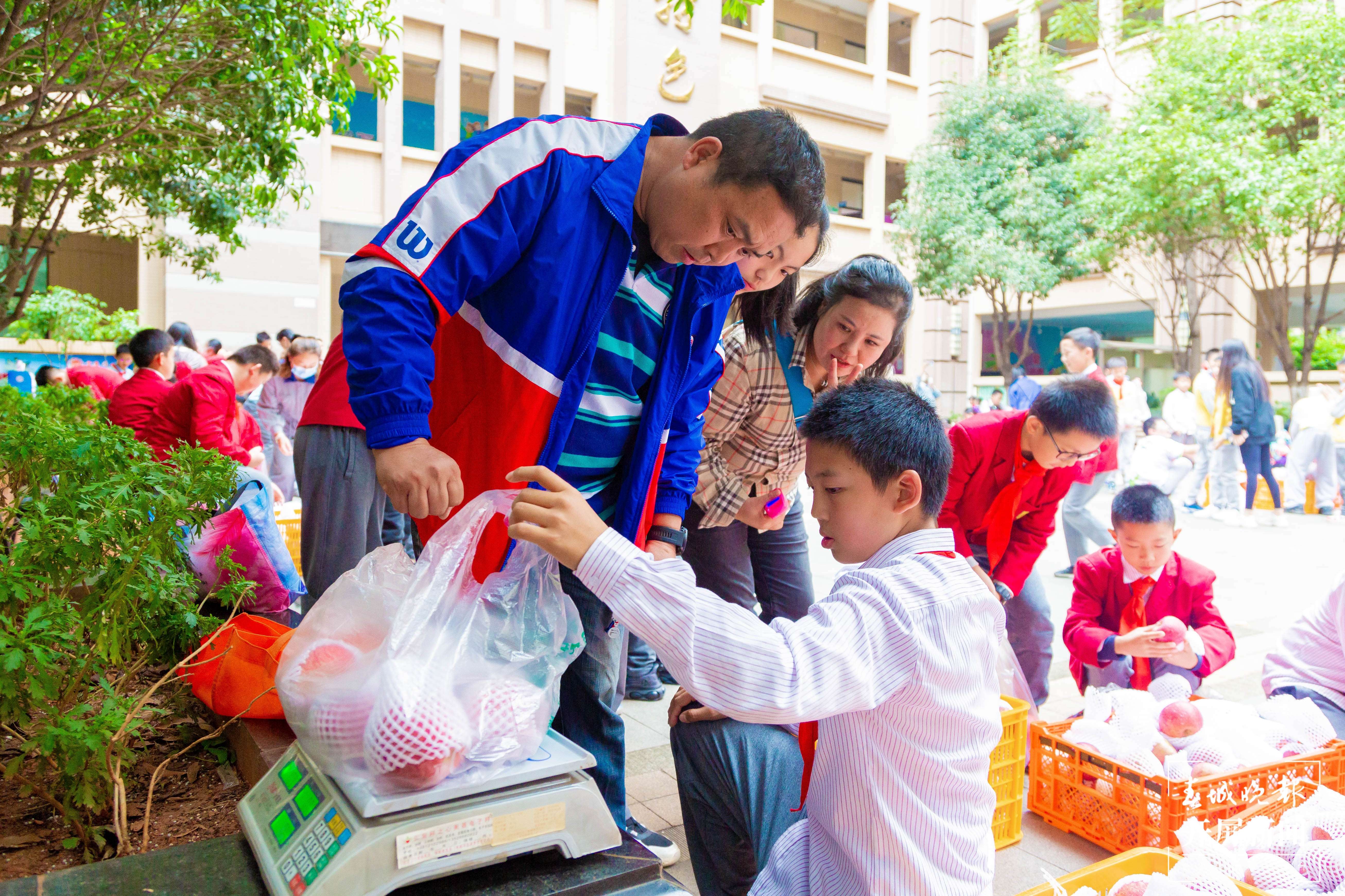 金康园小学苹果节