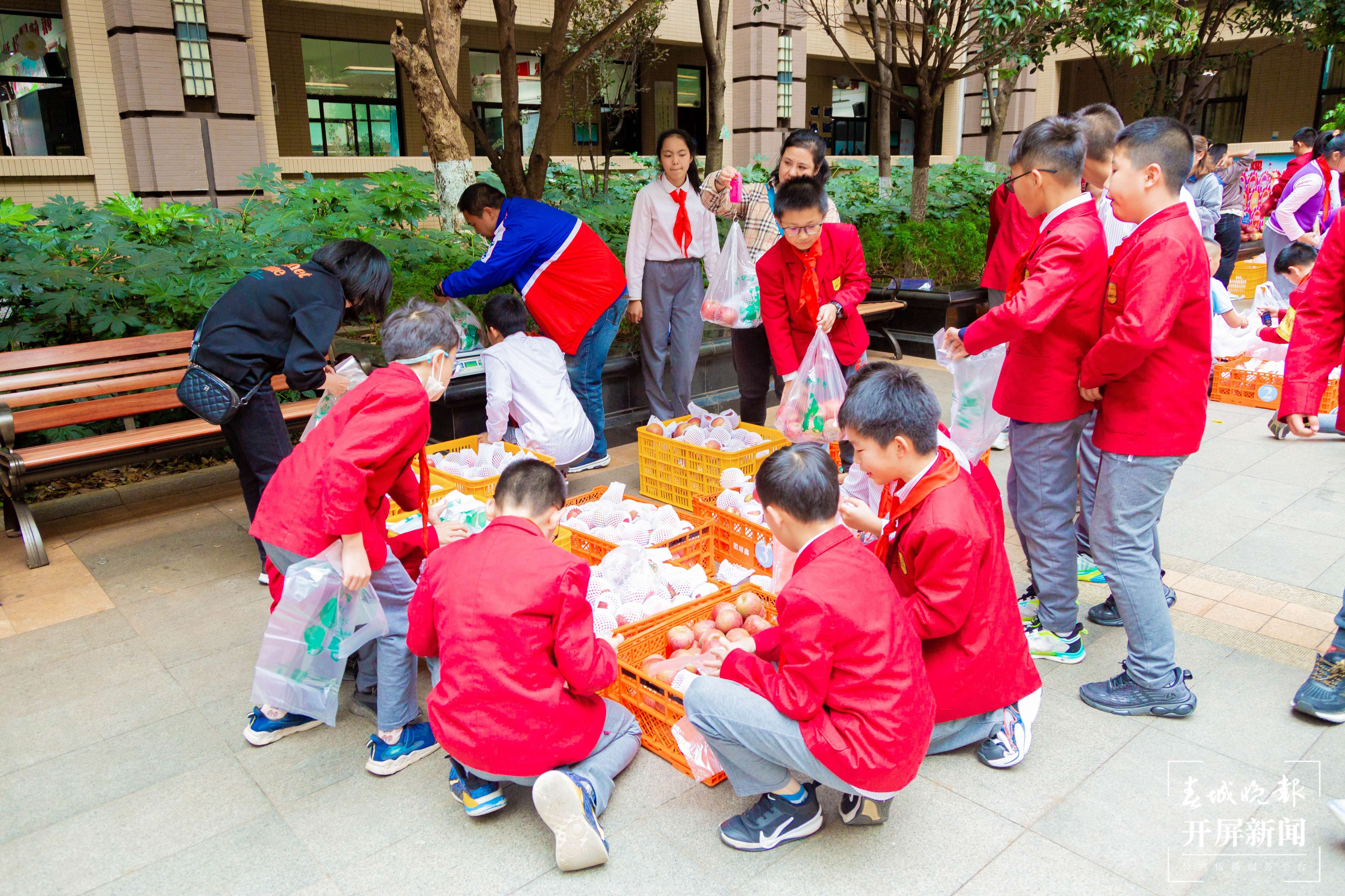 金康园小学苹果节
