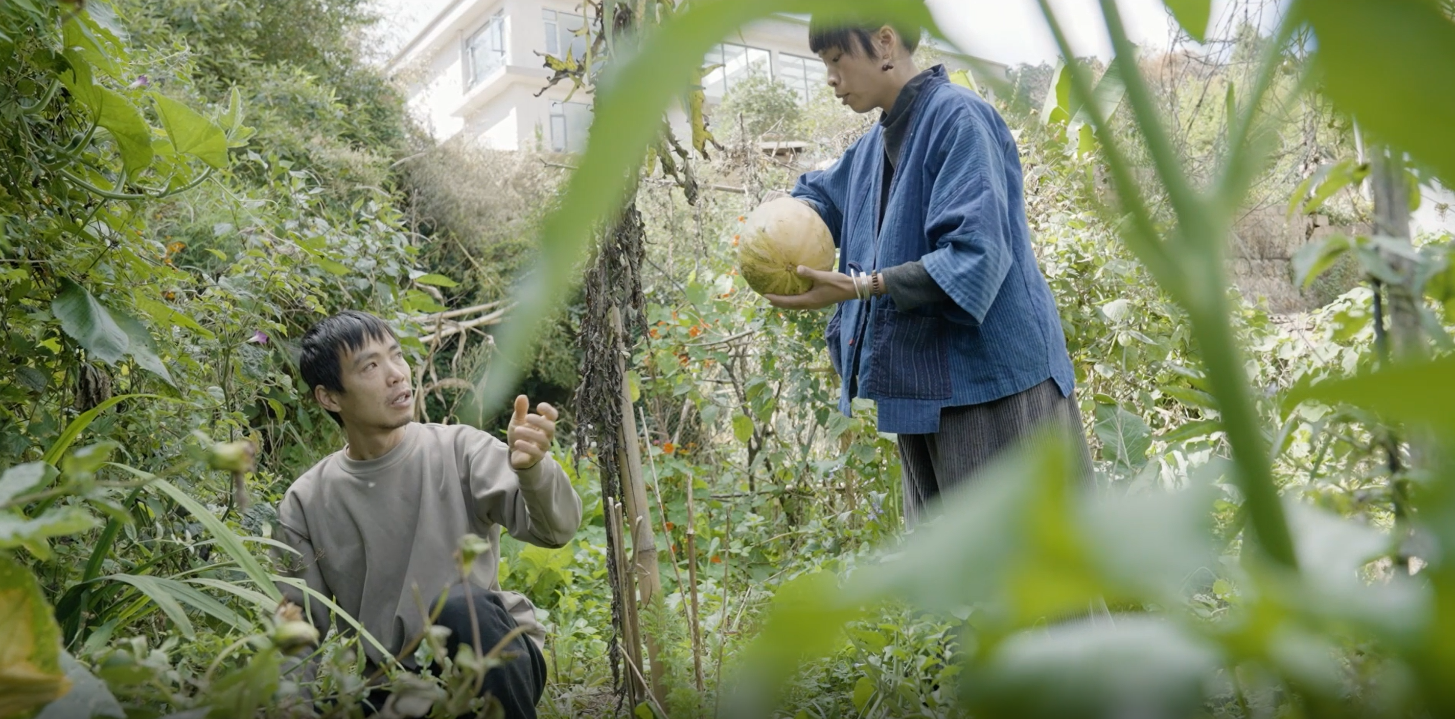 夫妻俩的菜园子瓜果蔬菜和鲜花野蛮生长2.png