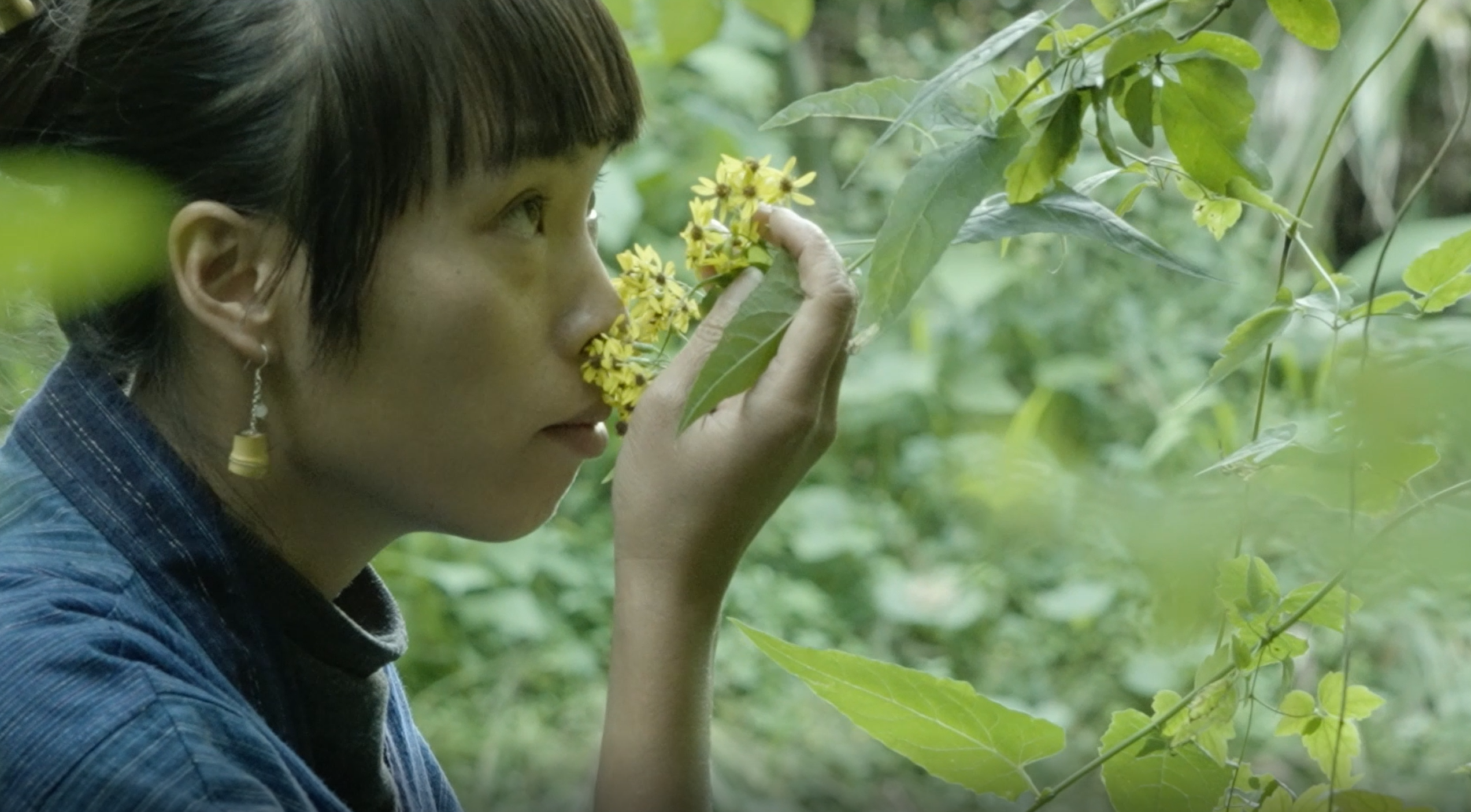 园子在后山寻找制作蓝晒的植物.png
