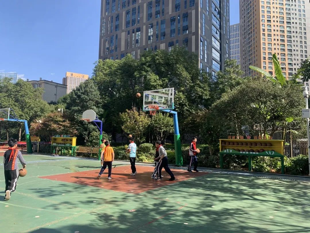 联盟小学