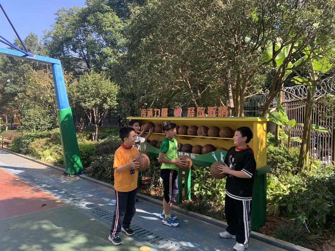 联盟小学