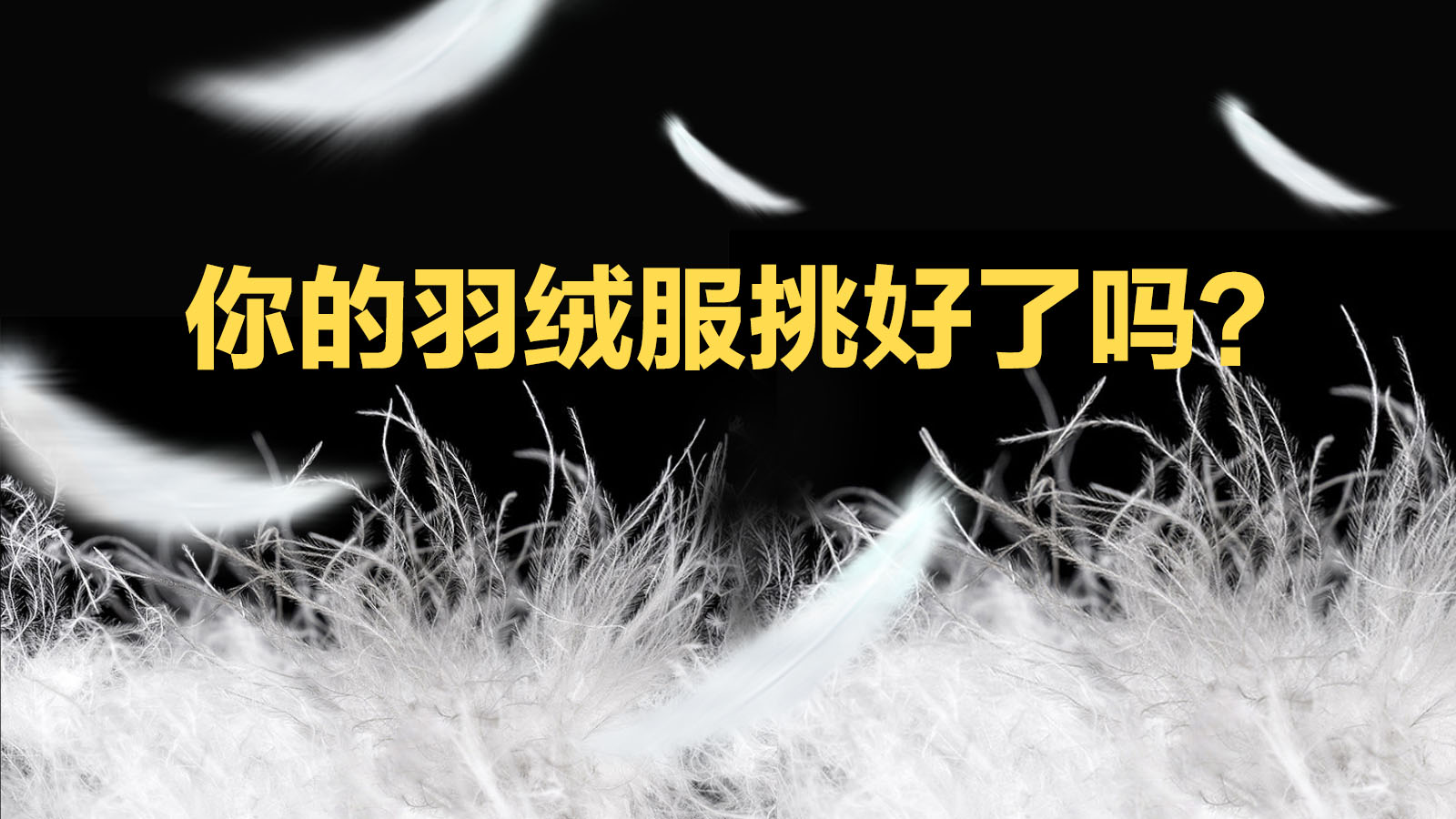 你的羽绒服挑好了吗