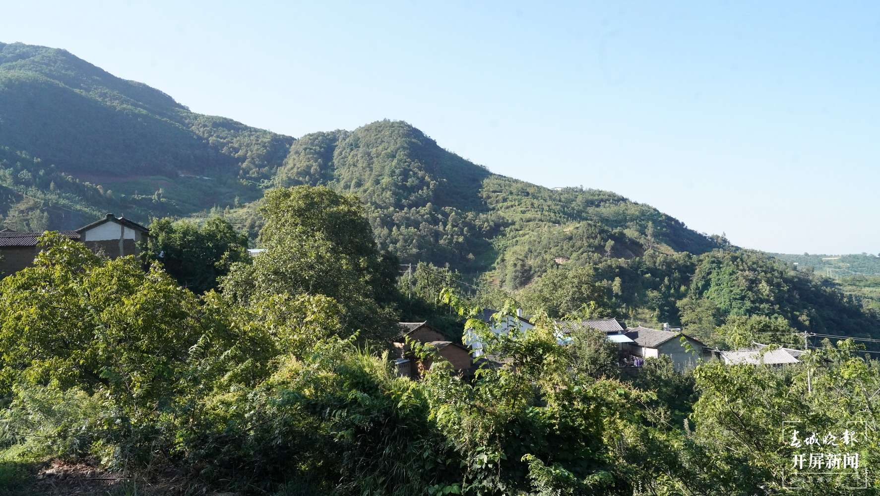 (采访传编辑)有一种叫云南的生活 宾川直播培训进山寨 ,山货出山销路广 (3).JPG