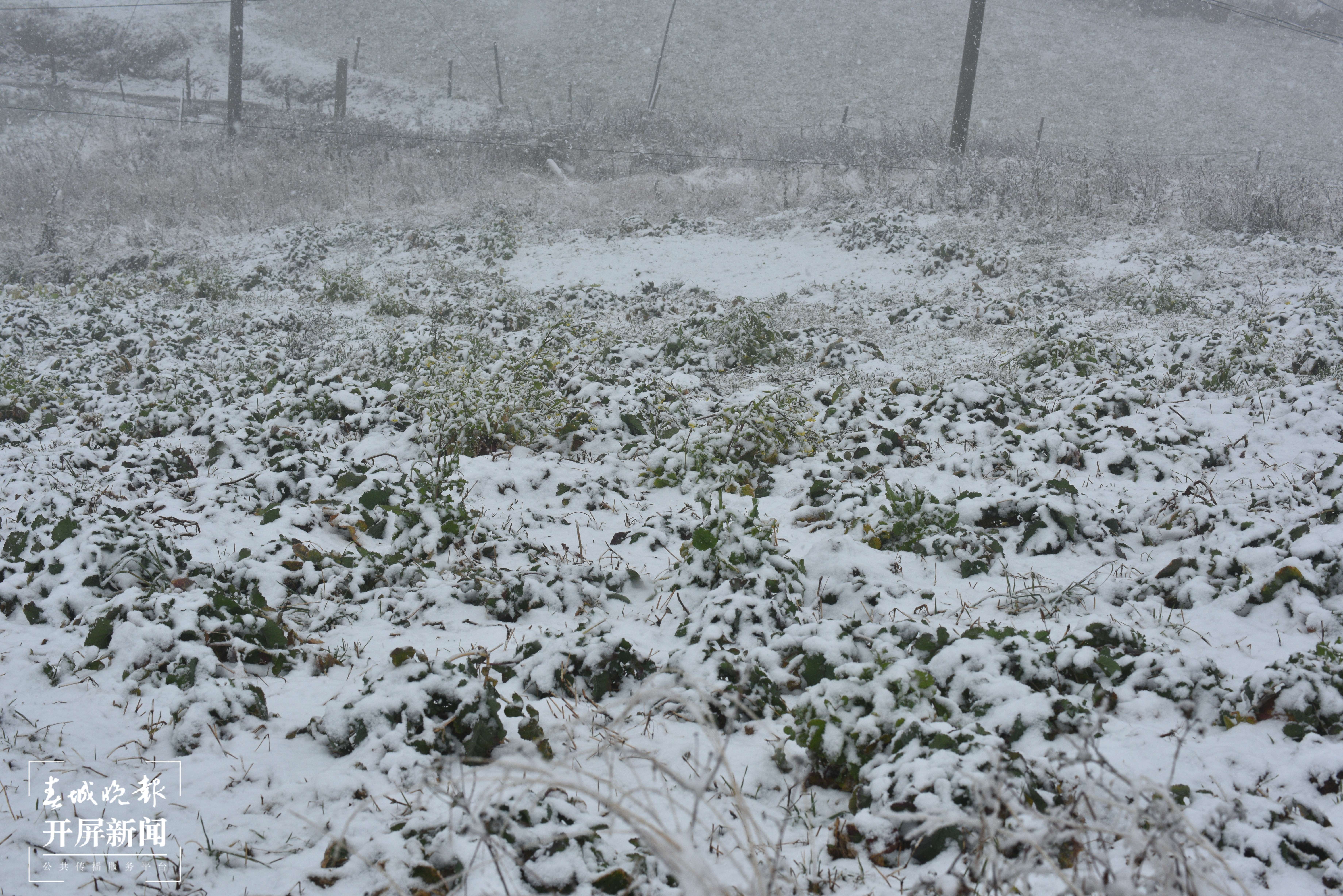 昭通大山包下雪了4.jpg