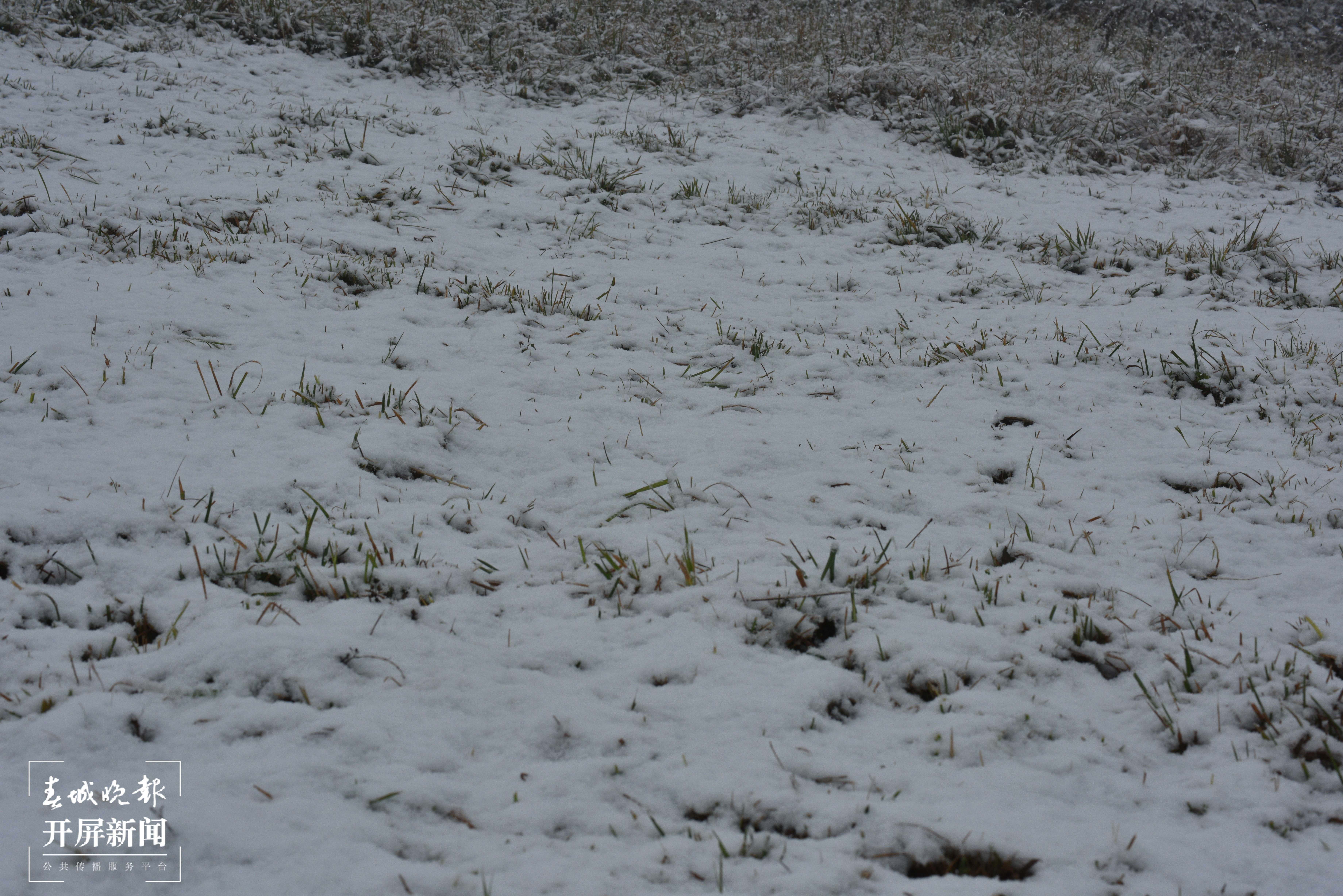 昭通大山包下雪了5.jpg