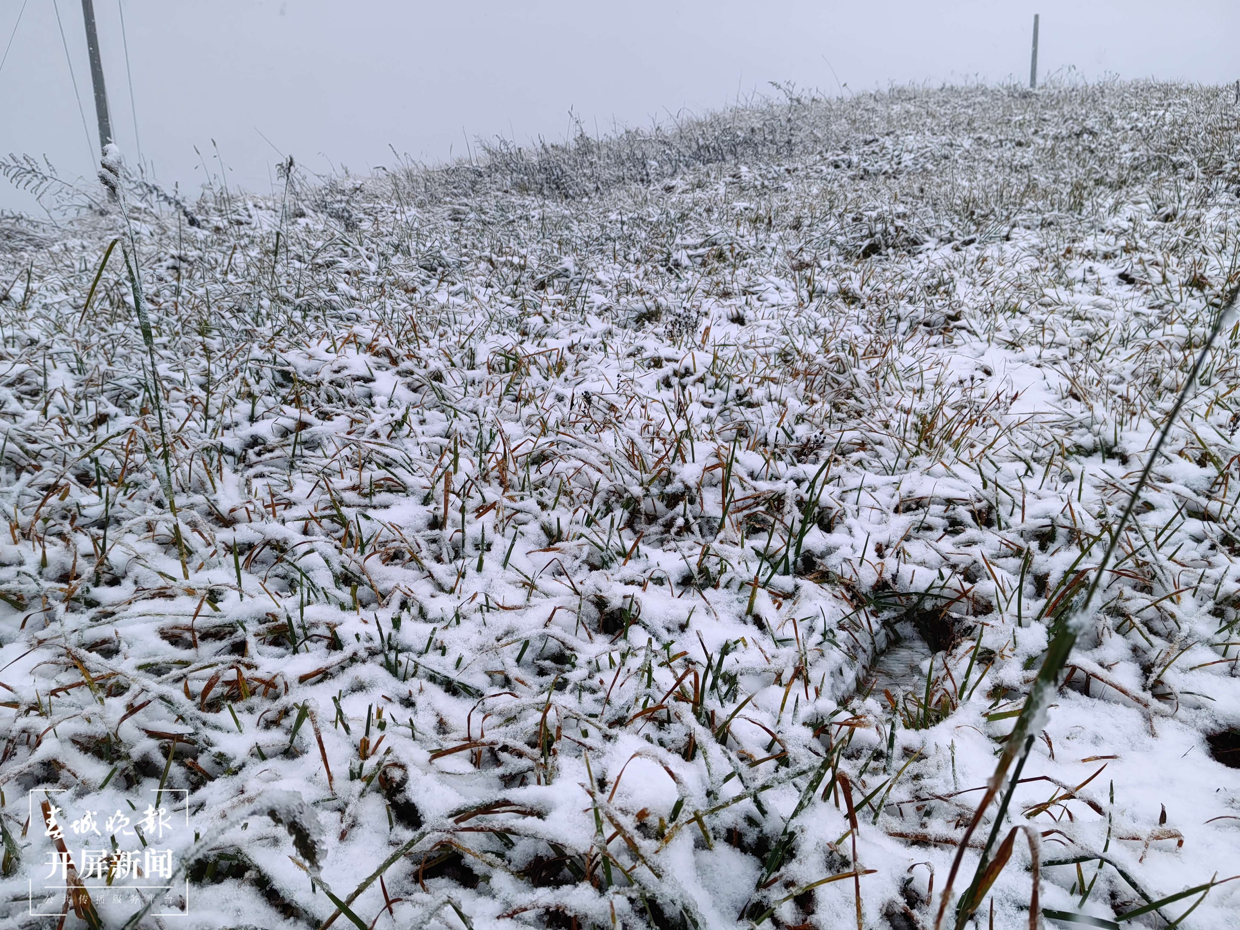 昭通大山包下雪了10.jpg