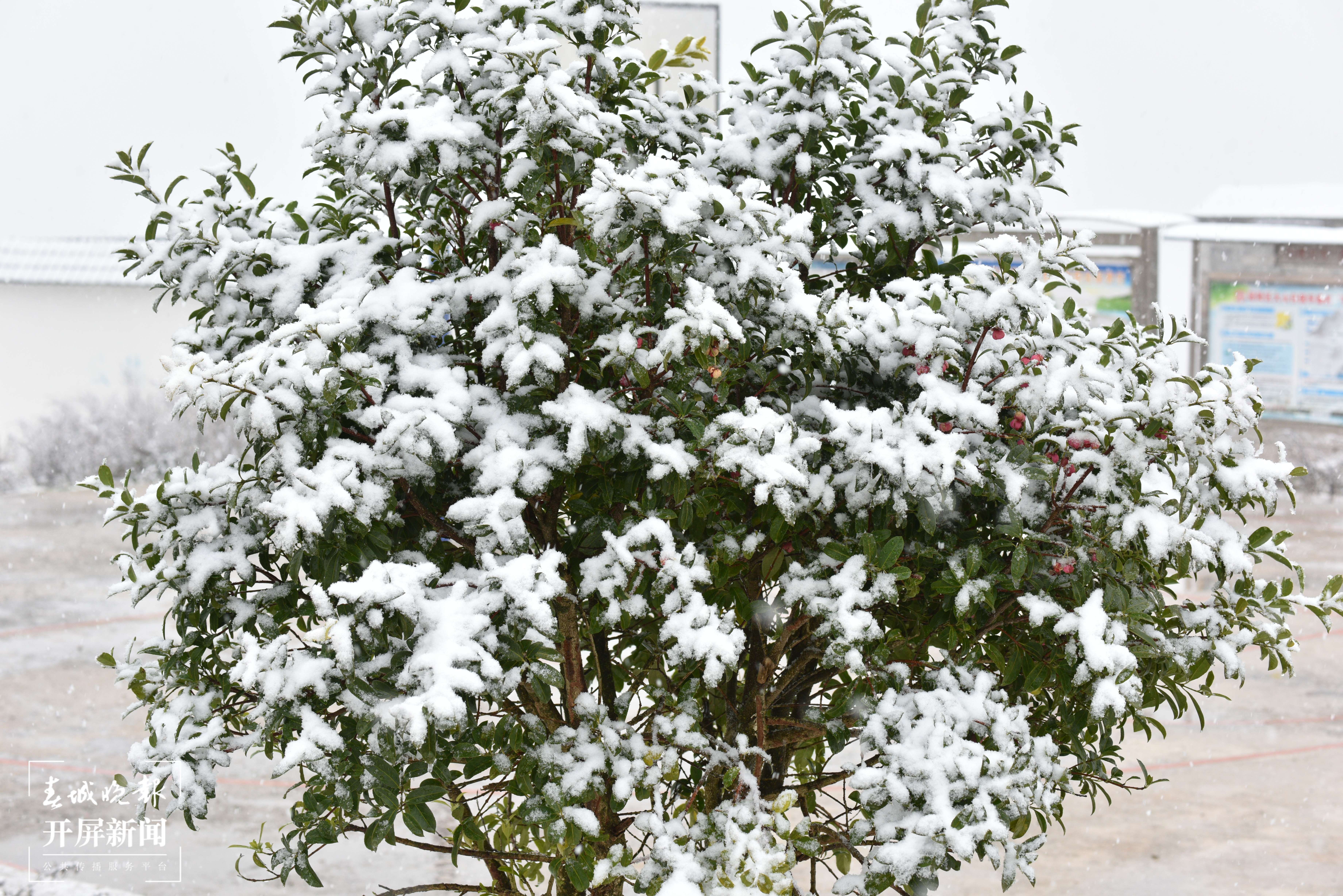 昭通大山包下雪了1.jpg