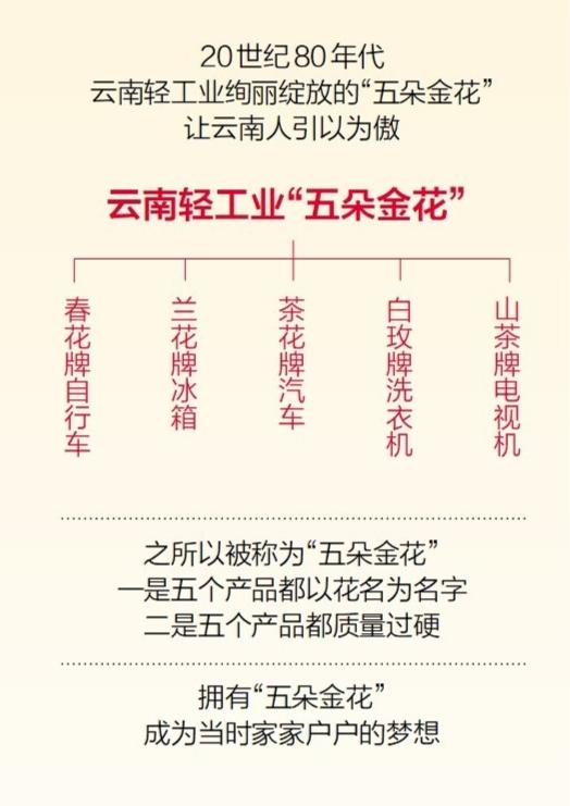 云南轻工业史上的“五朵金花”