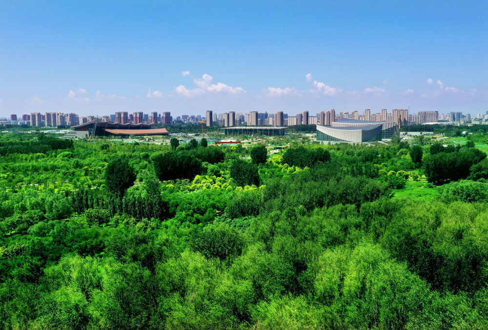 习近平总书记关切事5.jpg