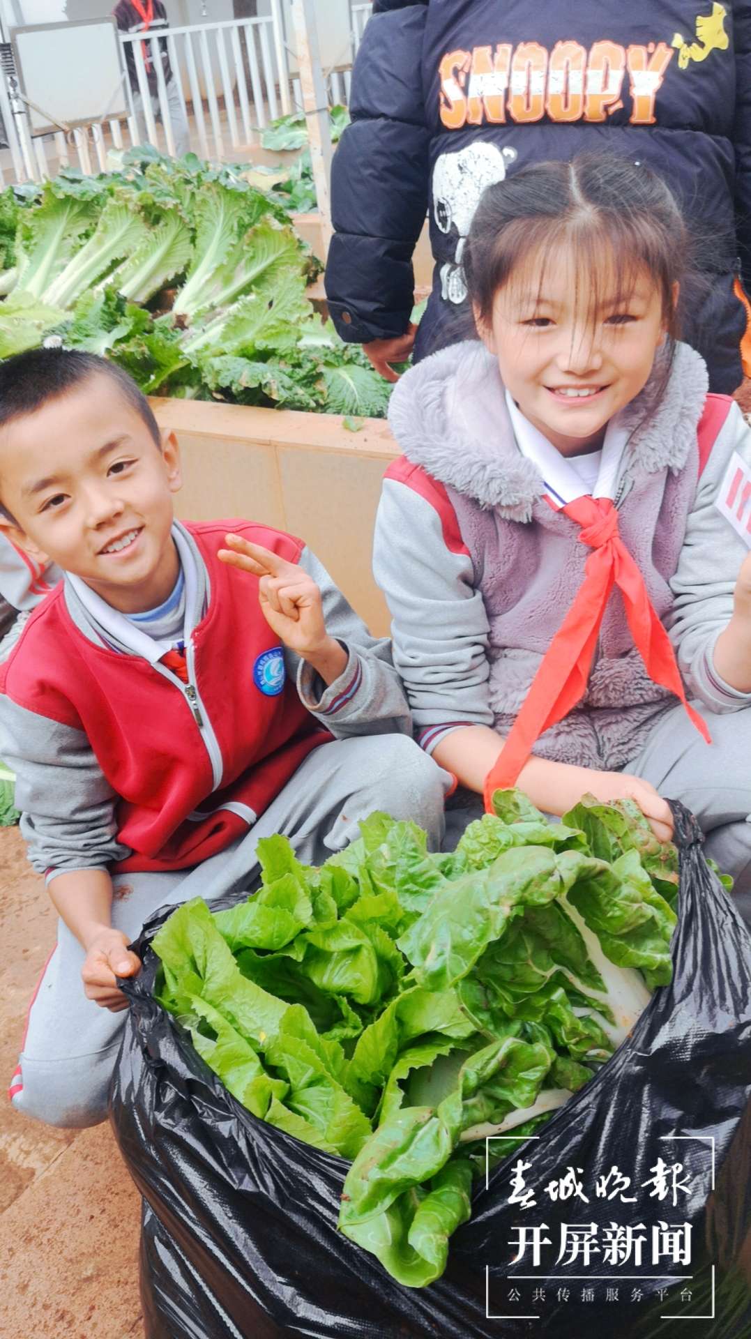 观音山小学2.jpg