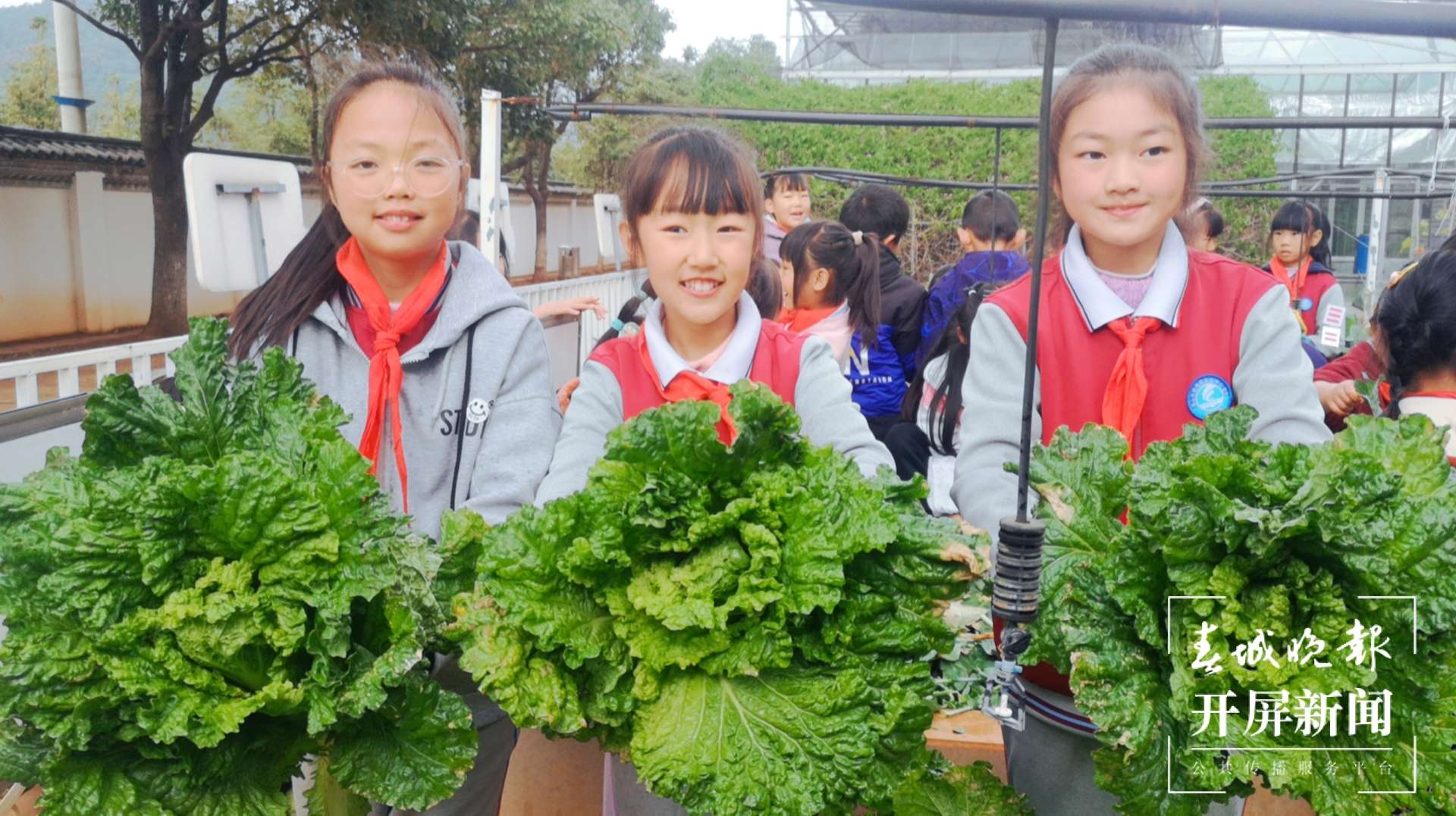 观音山小学1.jpg