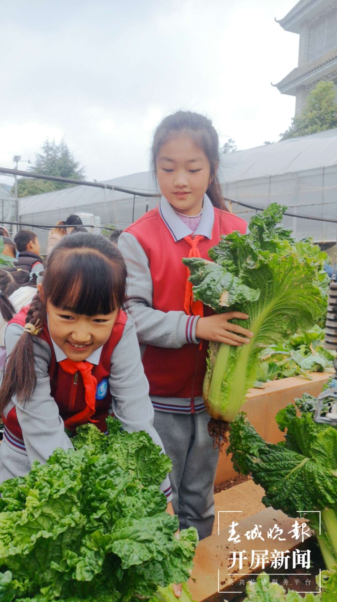 观音山小学4.jpg