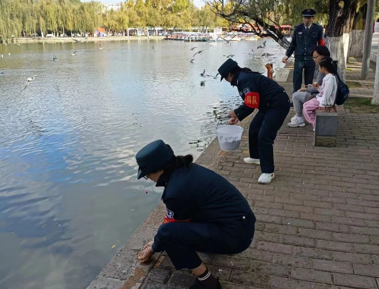 翠湖护鸥小队的日常