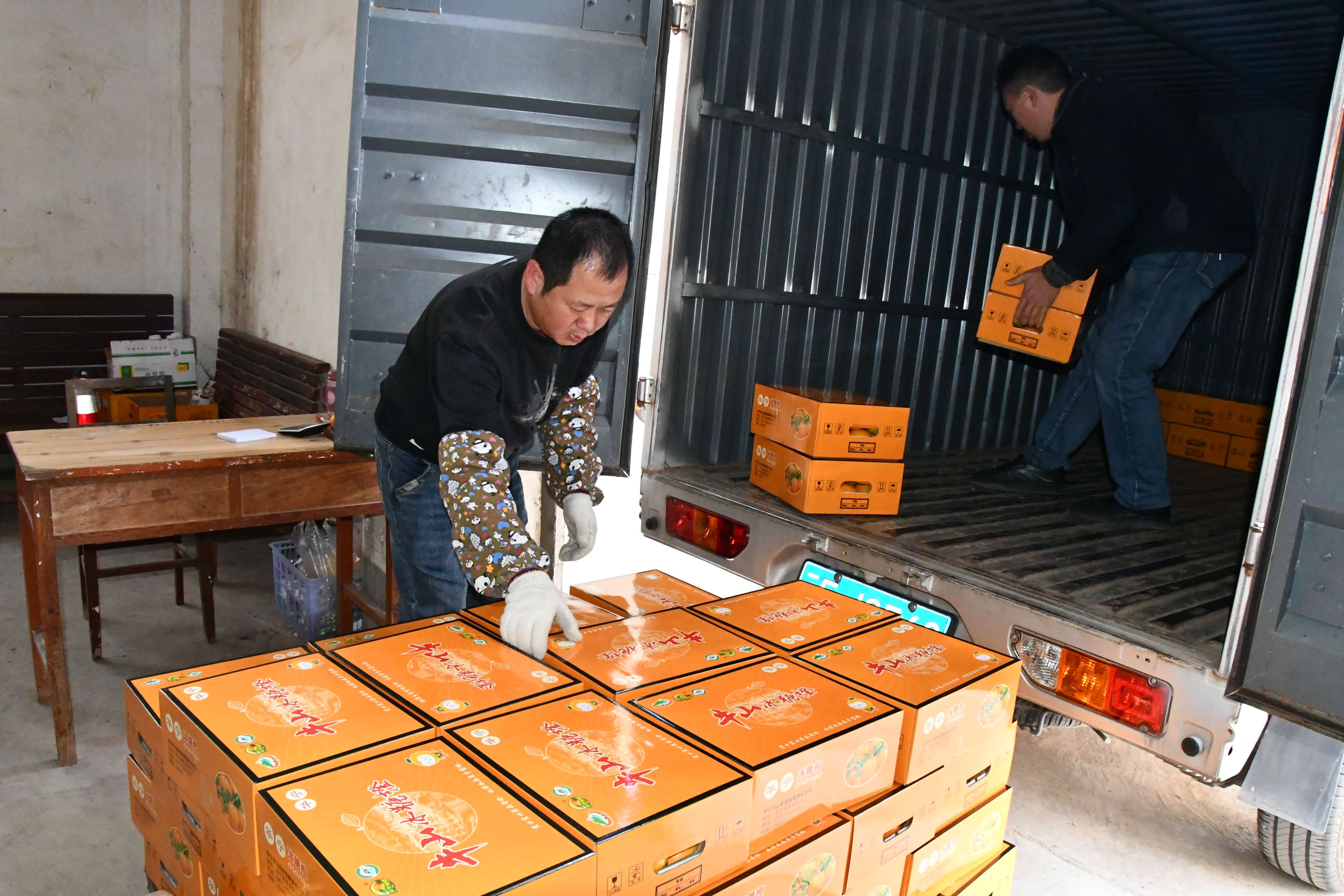 玉溪华宁冰糖橙上市 (3).jpg