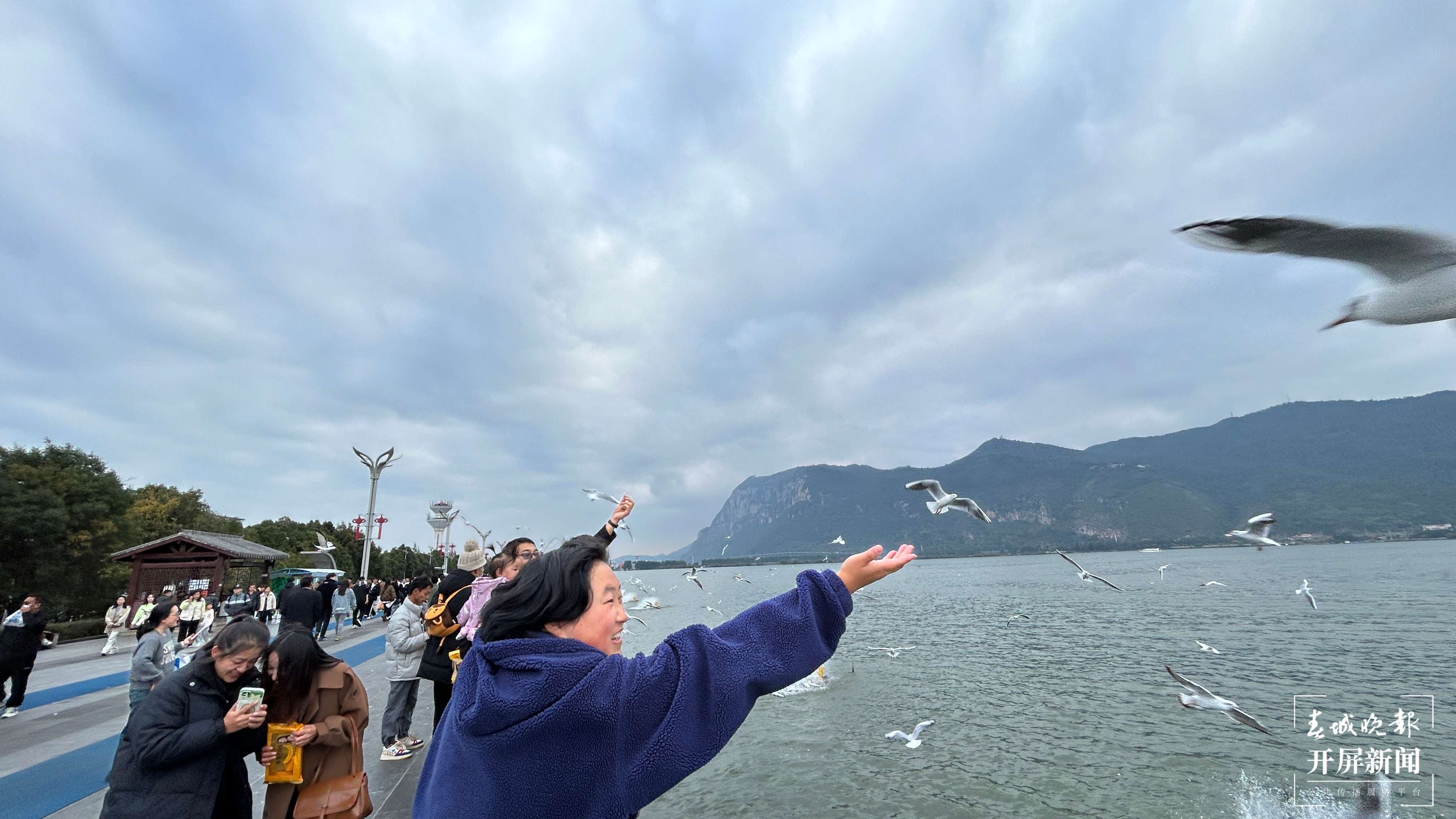 游客到滇池大坝喂红嘴鸥.jpg