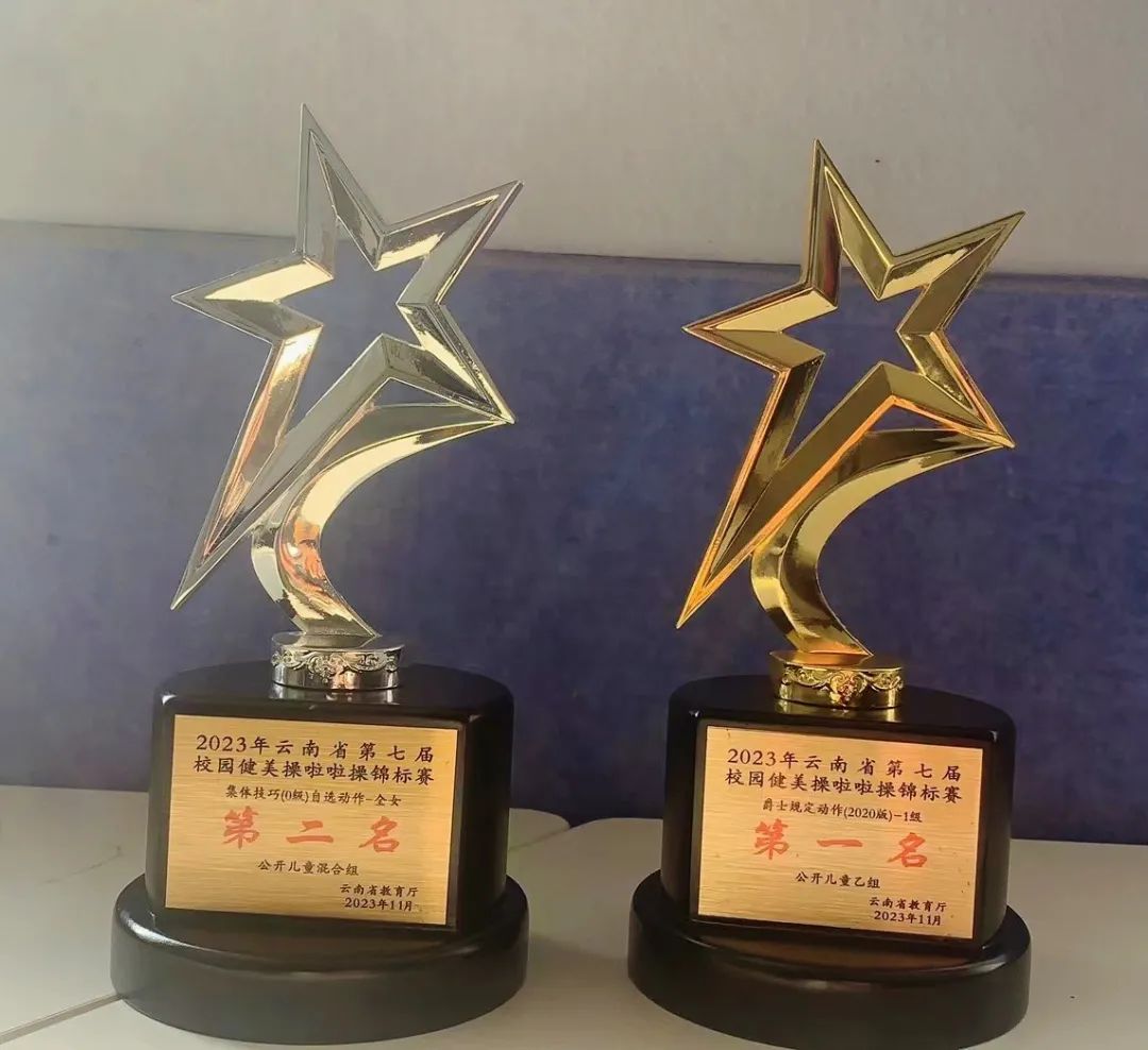 喜报!西林附中啦啦操队在全省锦标赛中获得优异成绩