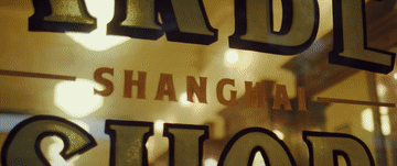 瞰上海1.gif