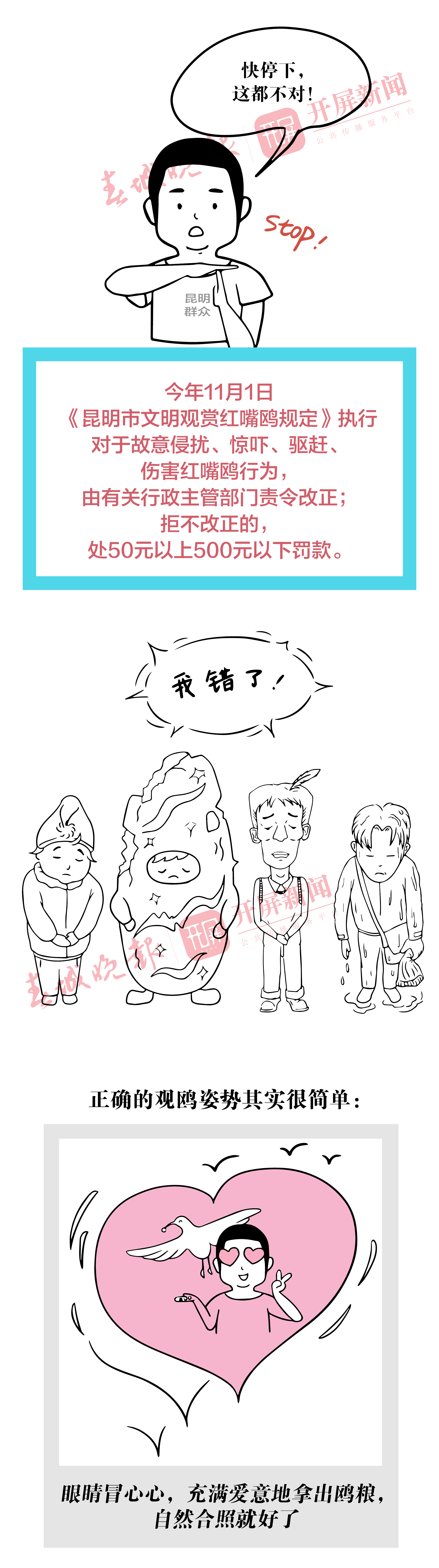 关于海鸥你不知道的冷知识2