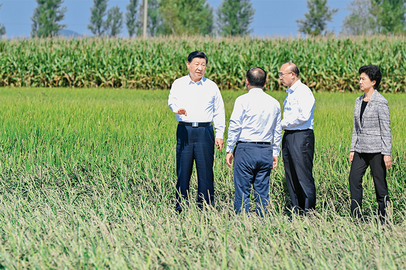 习近平：切实加强耕地保护 抓好盐碱地综合改造利用1.jpg