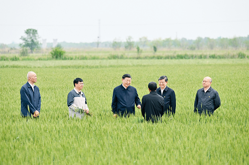 习近平：切实加强耕地保护 抓好盐碱地综合改造利用2.jpg