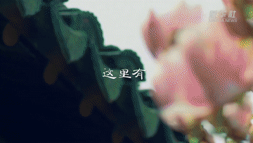 跟着总书记的考察足迹｜这里是长三角！5.gif