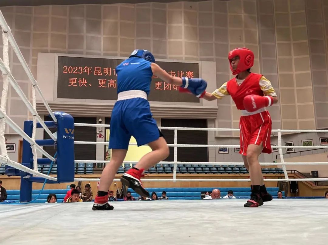 中小学生拳击比赛
