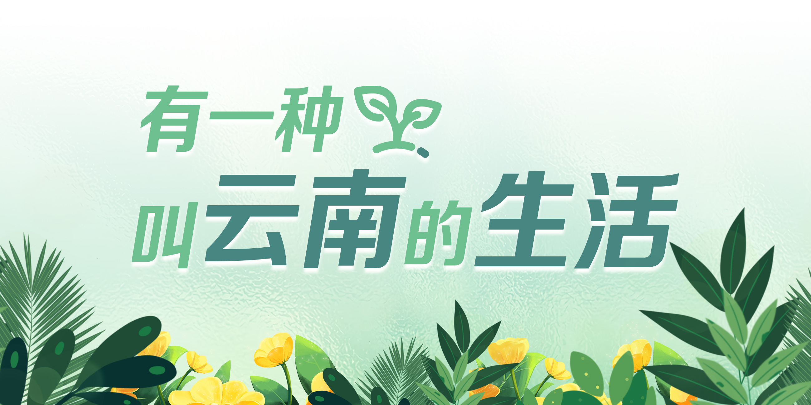 有一种叫云南的生活（专题头图）